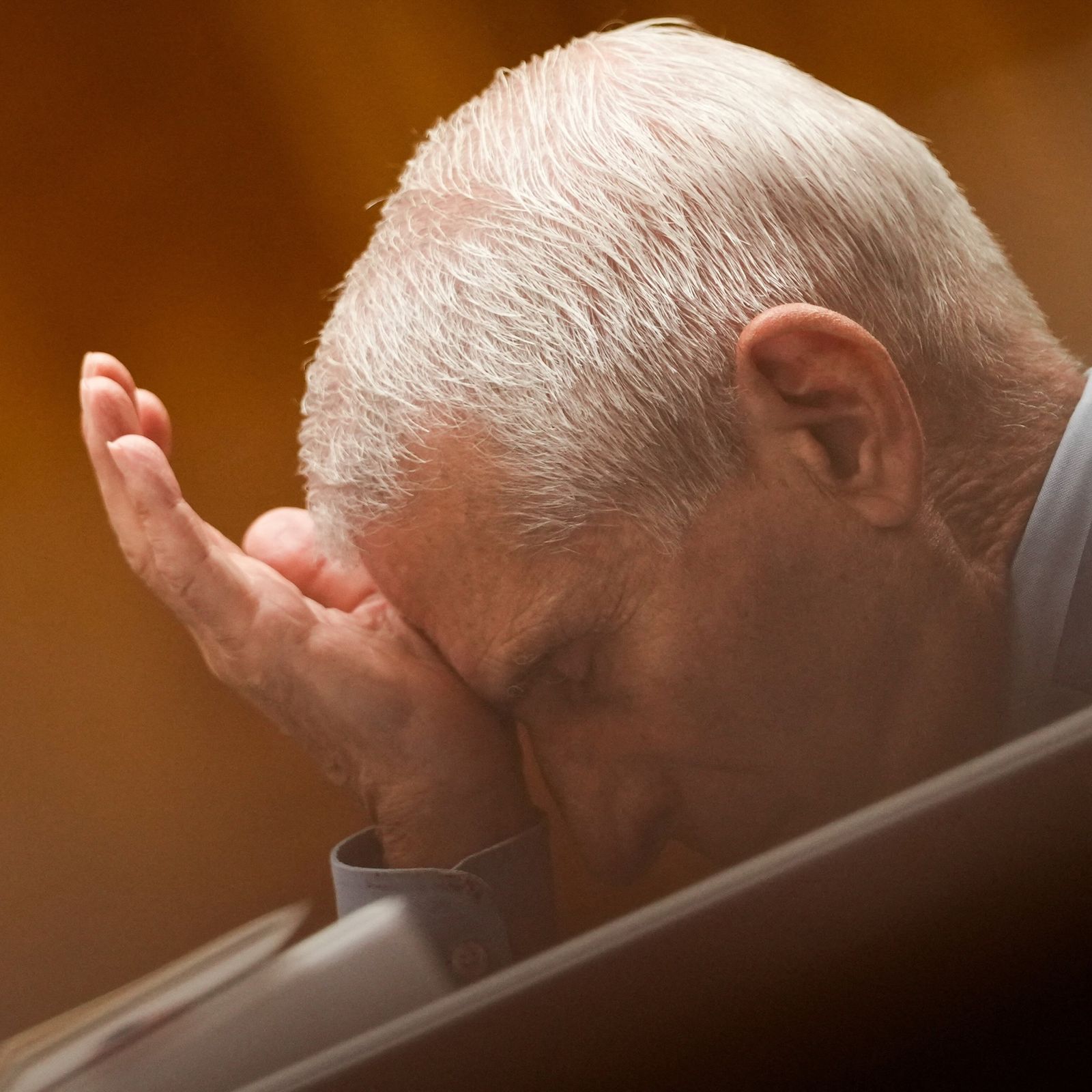 Our Fauci Diaries, Ourselves