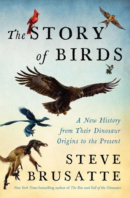 The book cover of “The Story of Birds” by Steve Brusatte