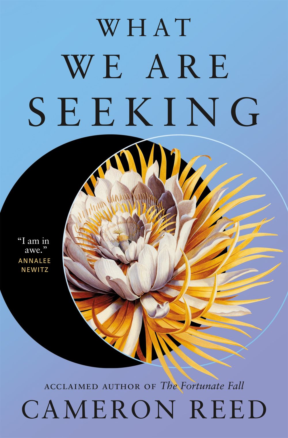 The book cover of “What We Are Seeking” by Cameron Reed