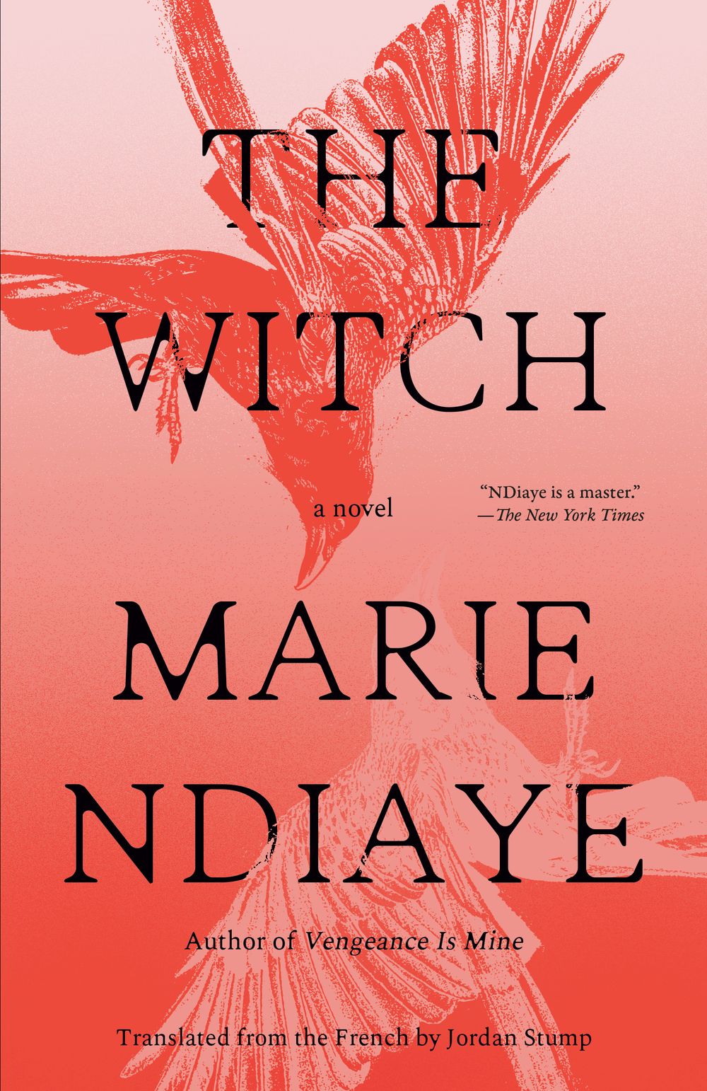 The book cover of “The Witch” by Marie NDiaye, Jordan Stump (Translated by)