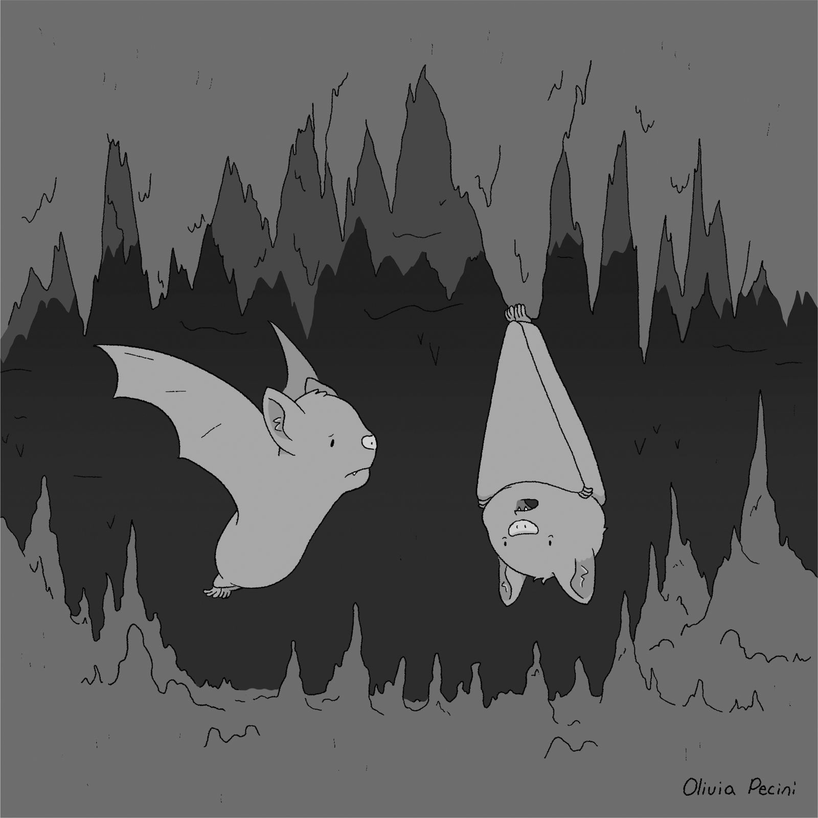 Two bats in cave with one hanging upside down.