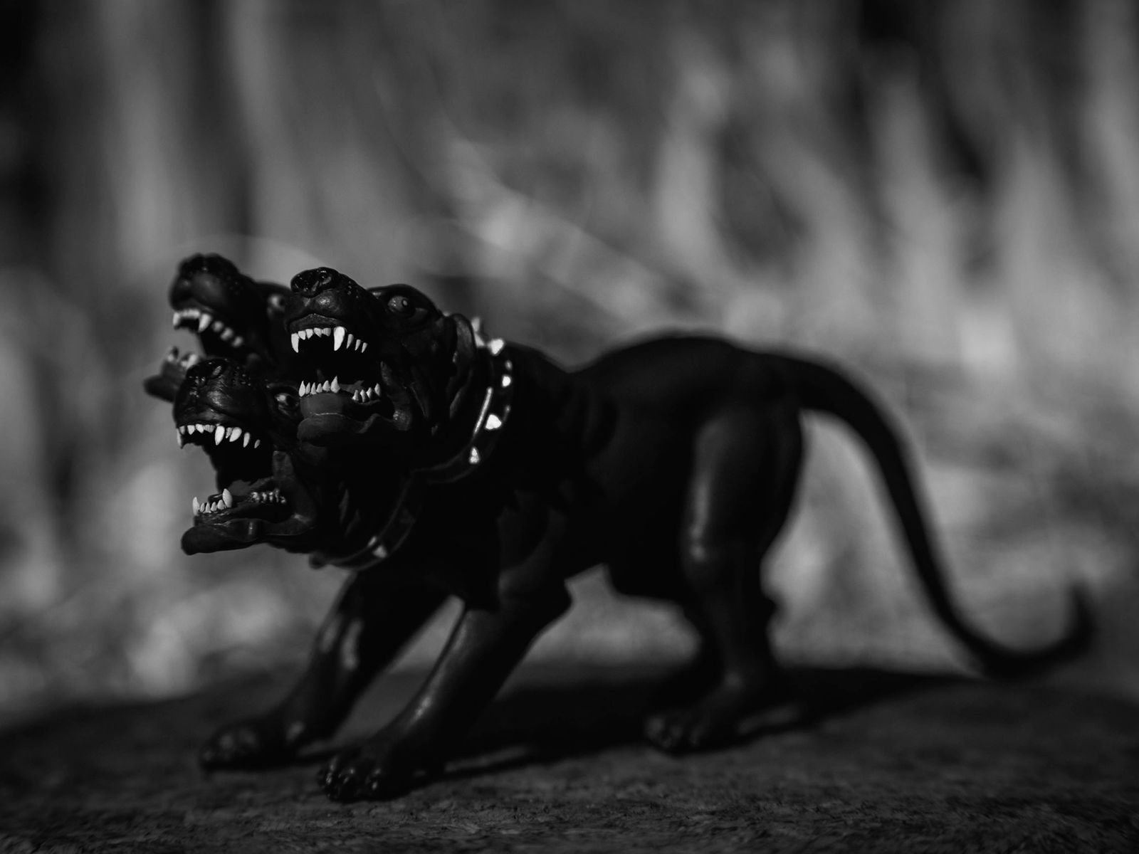 Instructions for Pet-Sitting My Dog, Cerberus