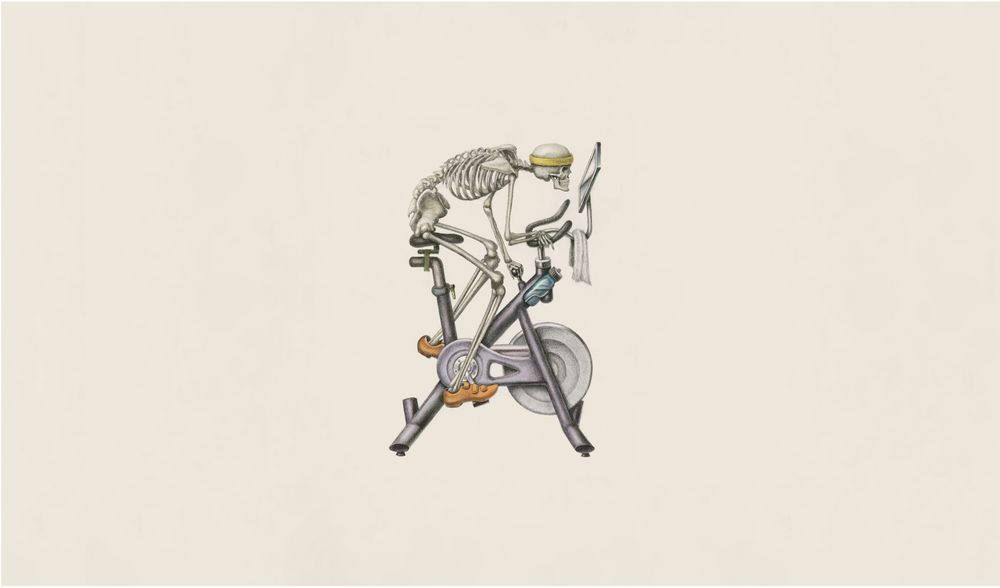 Skeleton using an elliptical machine.