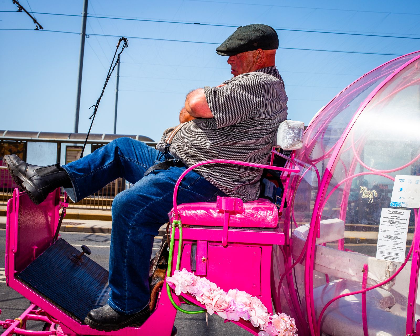 A carriage driver on a hot pink carriage.