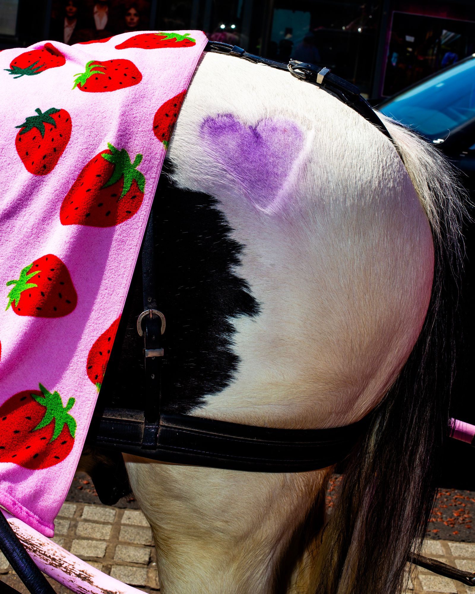 A horse with a purple heart branding.